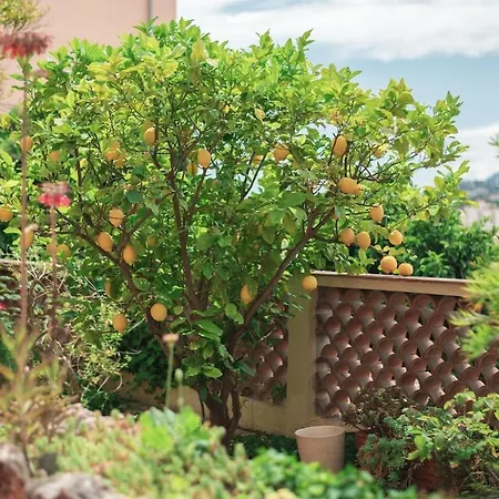 Διαμέρισμα Val De Menton, 3 Pieces Atypique, Jardin Et Terrasse A 7 Minutes A Pied Du Centre Μεντόν